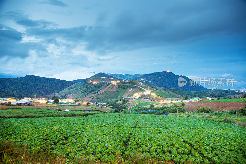 风景景观的种植园田，农业，自然景观，风景黄昏和薄雾的山景在Phu Thap Boek，泰国，泰国